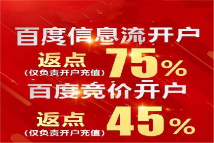 顶级SEM服务公司案例解析